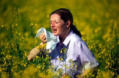 Woman standing in Oil seed rape field sneezing